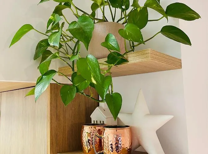 شقة Sol اوفيدو